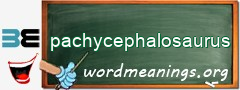 WordMeaning blackboard for pachycephalosaurus